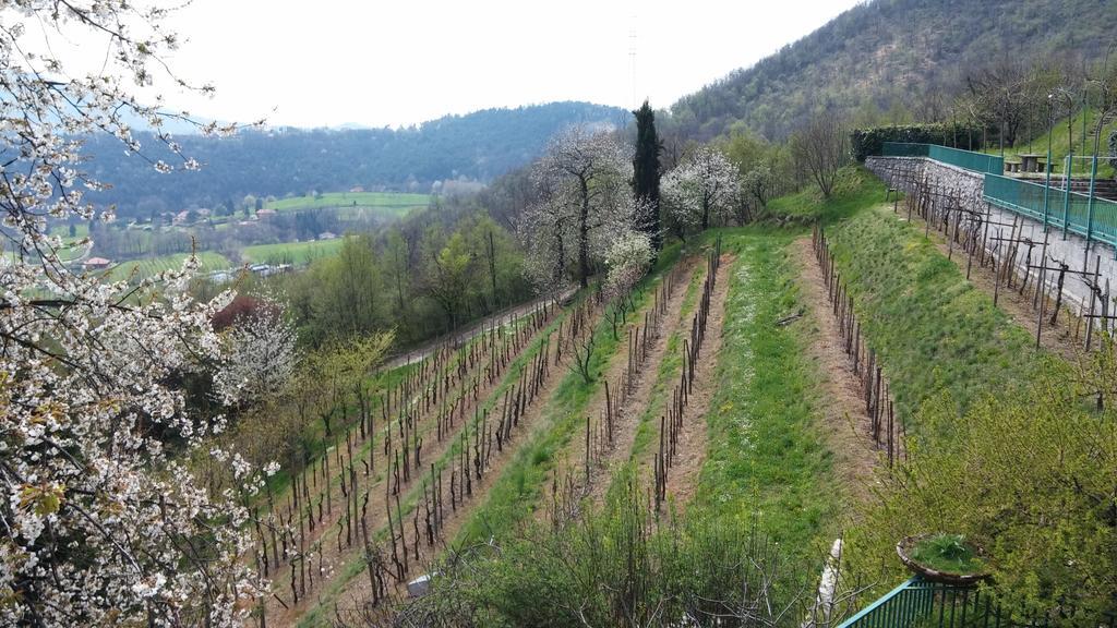 Agriturismo Il Mirabile Bed & Breakfast Трескоре Балнеарио Екстериор снимка