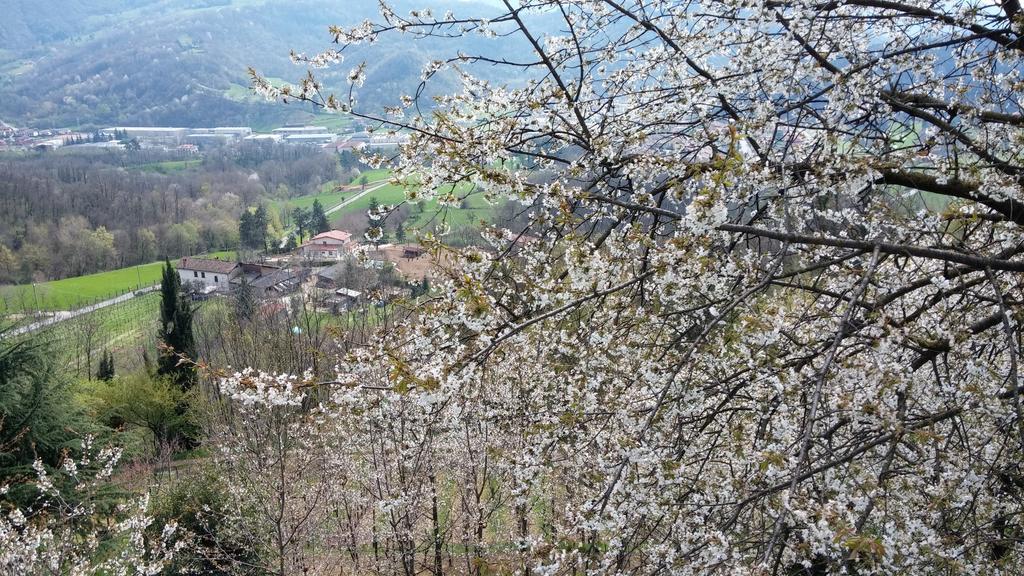 Agriturismo Il Mirabile Bed & Breakfast Трескоре Балнеарио Екстериор снимка